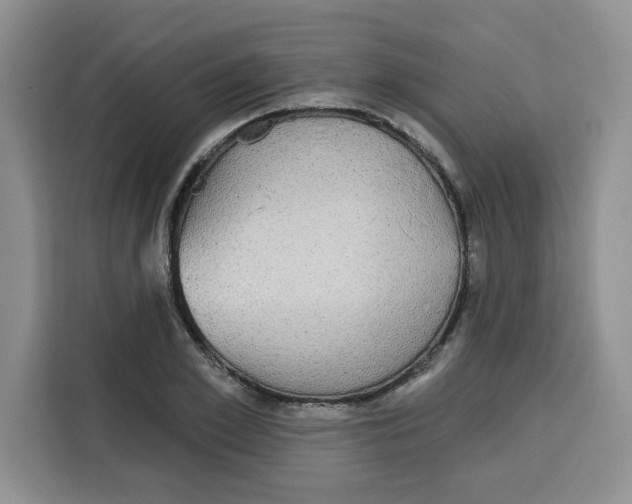 X0000115090981200911241210