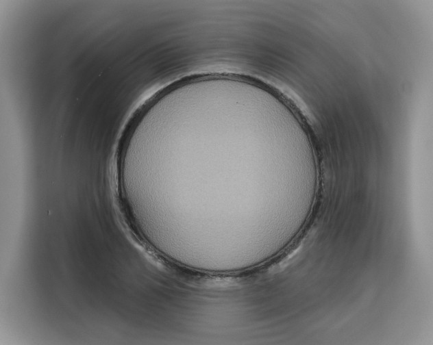 X0000115090982200911241210