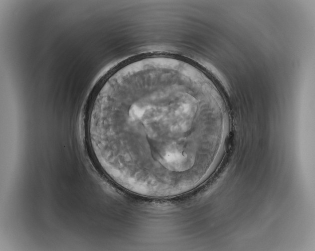 X0000115090983200911241210