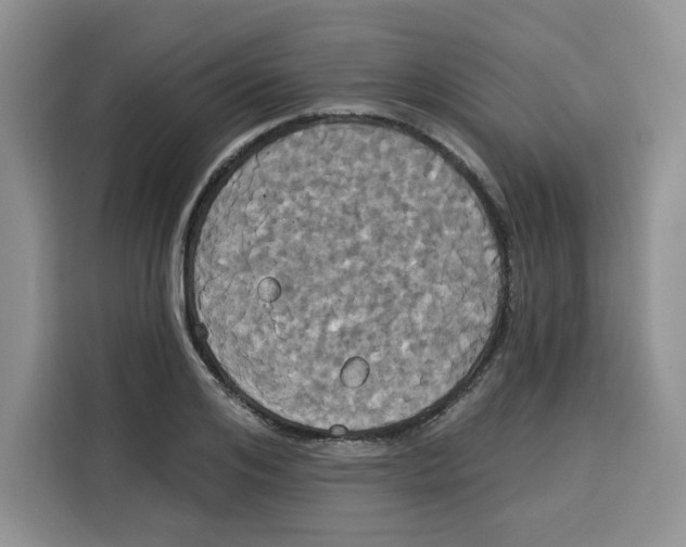 X0000115090984200911241210