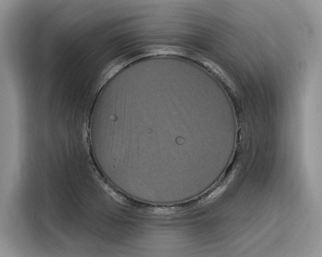X0000115090985200911241210
