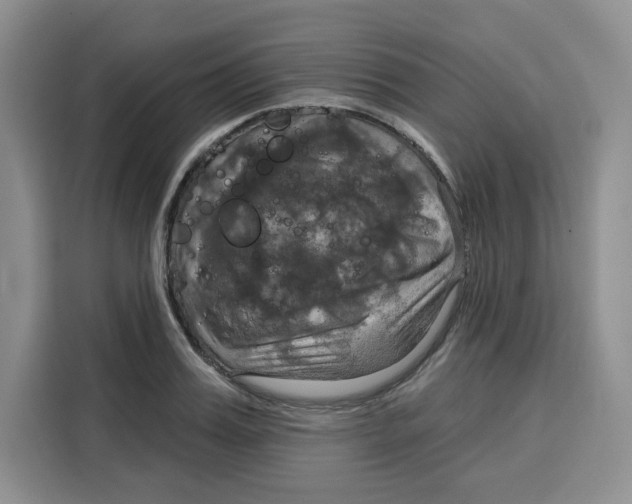 X0000115090987200911241210