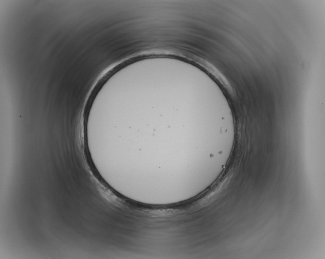 X0000115090988200911241210