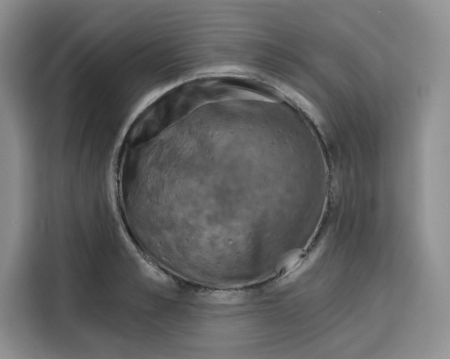 X0000115090989200911241210