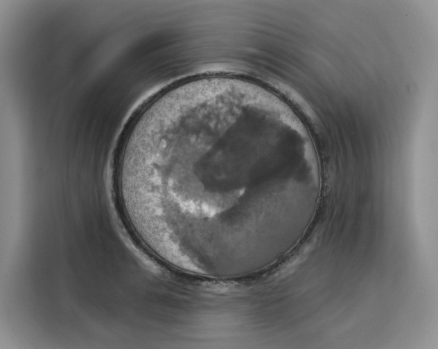 X0000115090991200911241210