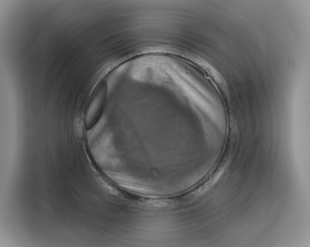 X0000115090993200911241210