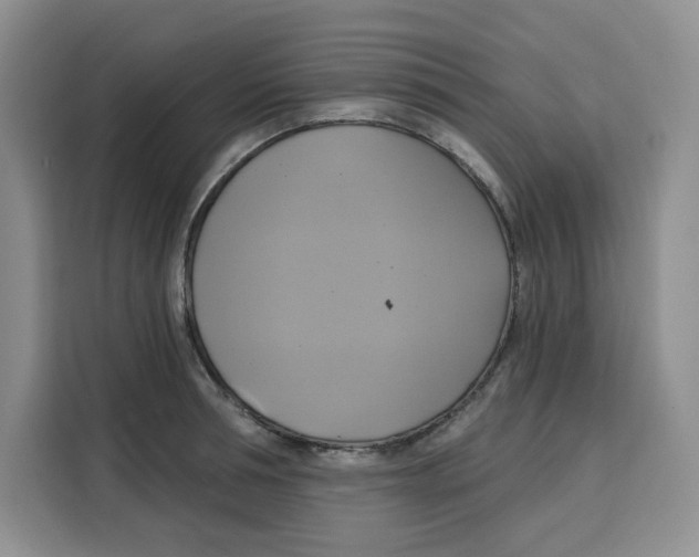 X0000115090994200911241210