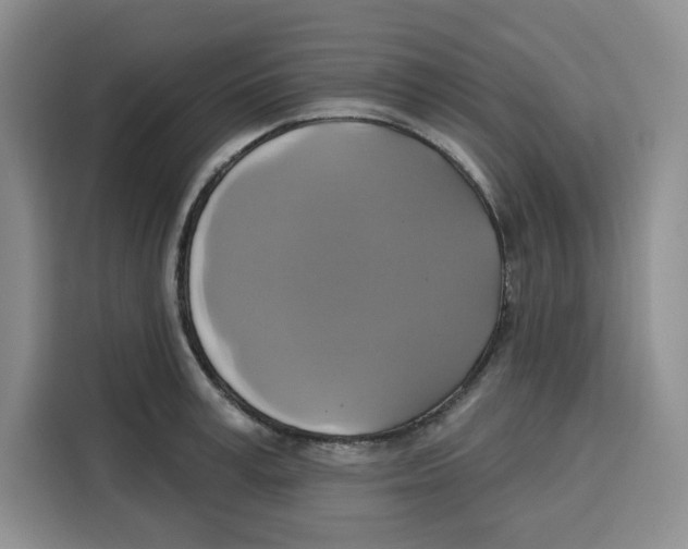 X0000115090995200911241210