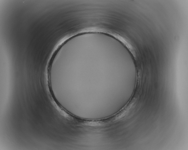 X0000115090998200911241210