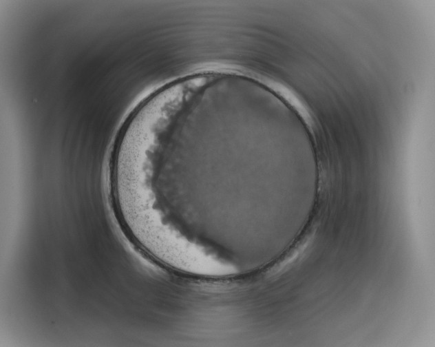 X0000115090999200911241210
