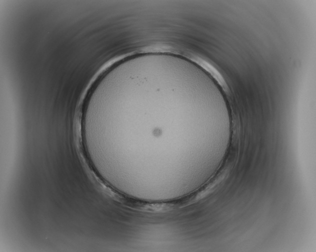 X0000115091000200911241210