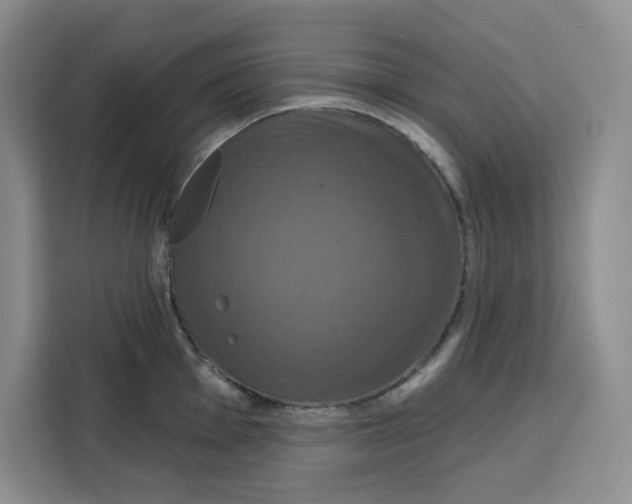X0000115091001200911241210