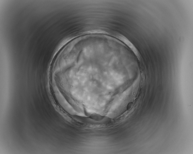 X0000115091002200911241210