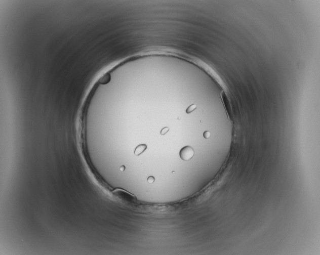 X0000115091003200911241210