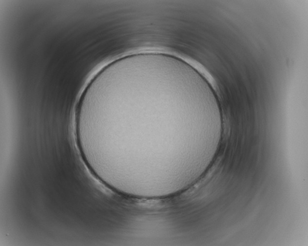 X0000115091006200911241209