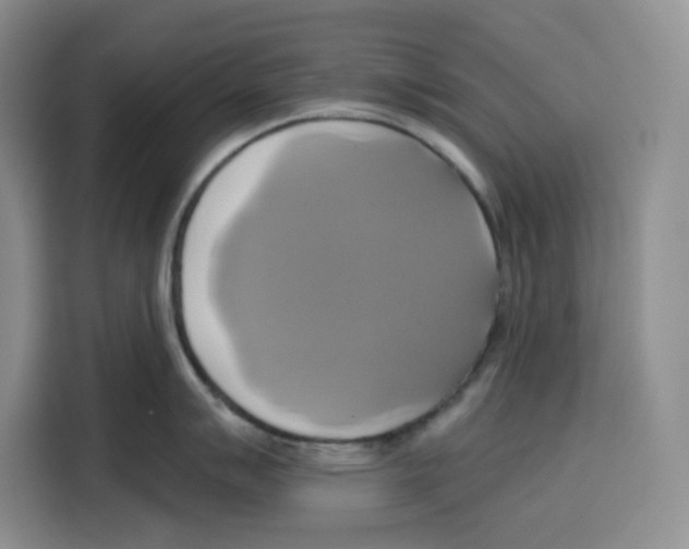 X0000115091007200911241209