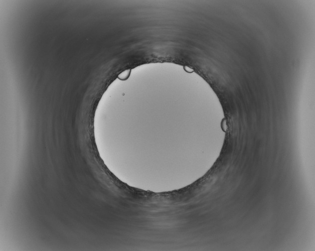 X0000115091009200911241209