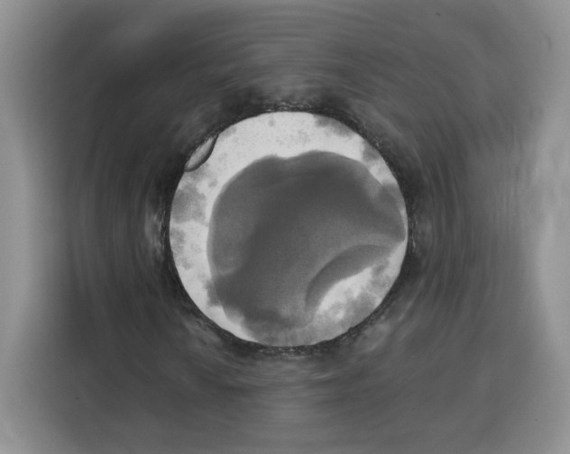 X0000115091010200911241209