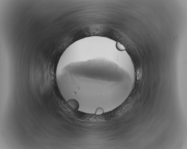 X0000115091011200911241209