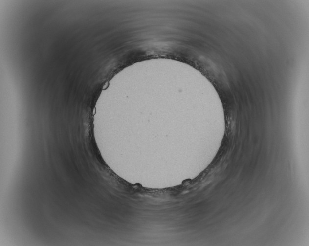 X0000115091012200911241209