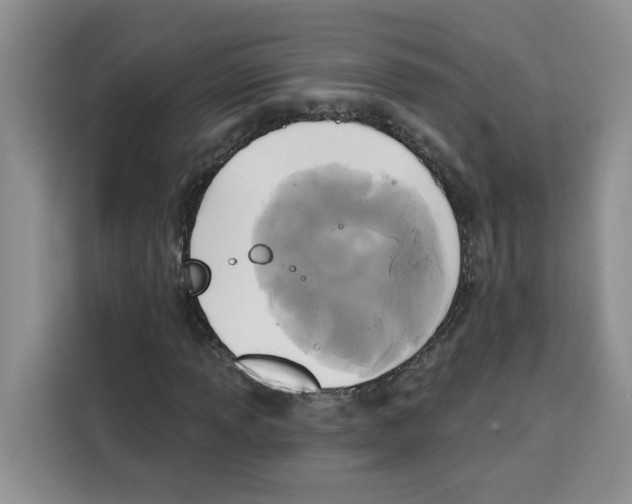 X0000115091013200911241209