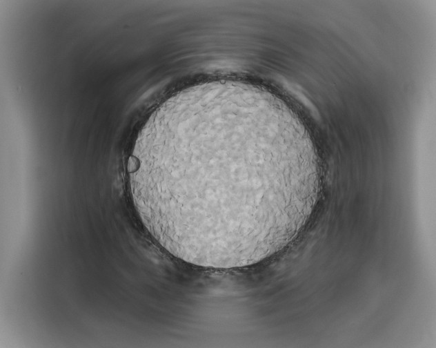 X0000115091015200911241209