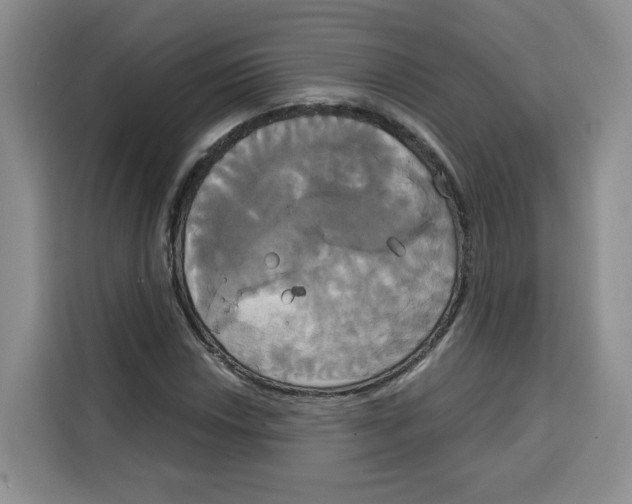 X0000115091018200911241209