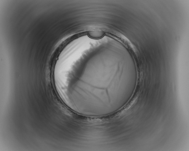 X0000115091019200911241209