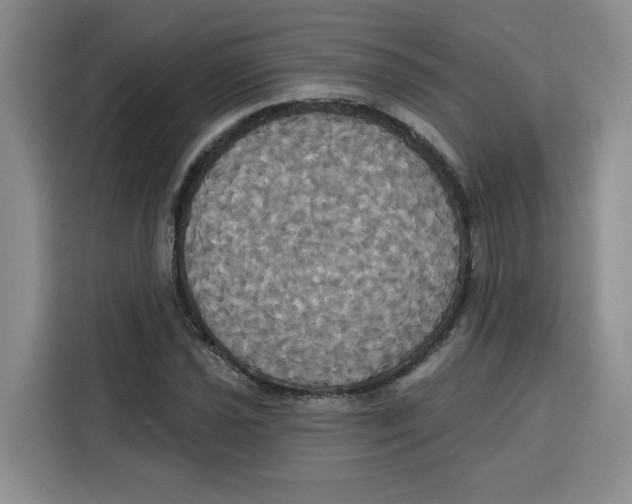 X0000115091021200911241209