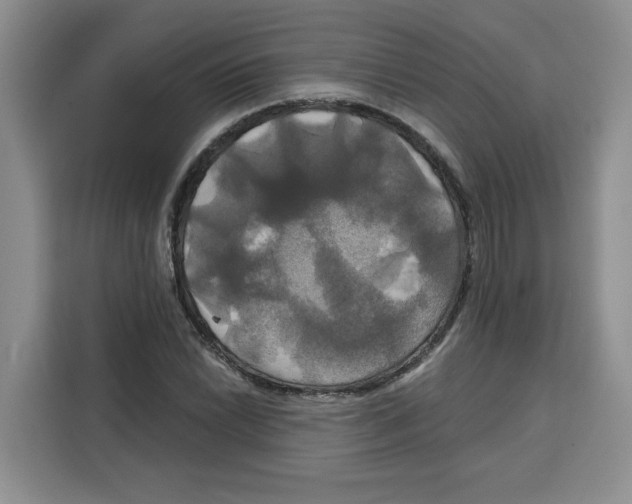 X0000115091022200911241209