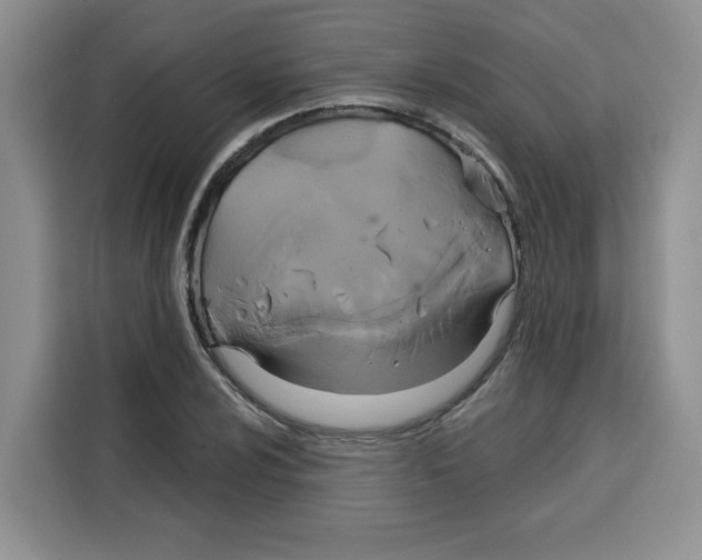 X0000115091024200911241209