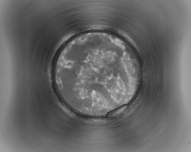 X0000115091026200911241209