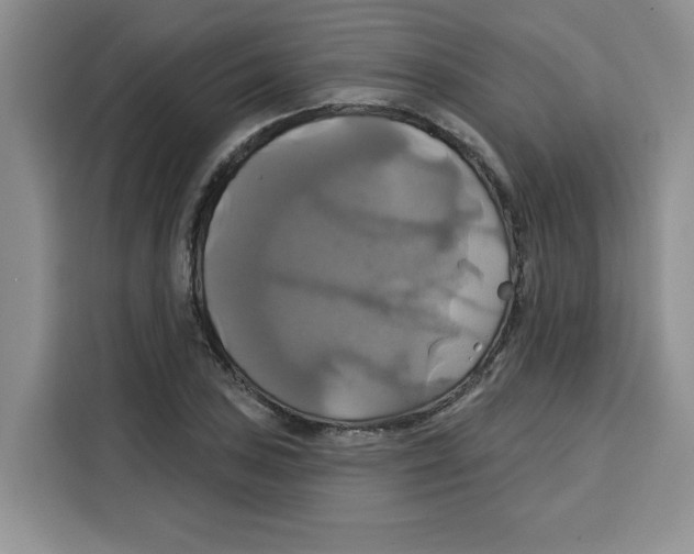 X0000115091027200911241209