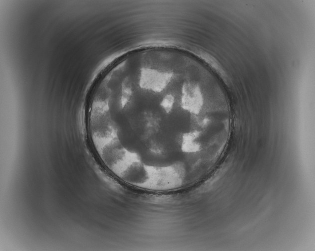 X0000115091030200911241209