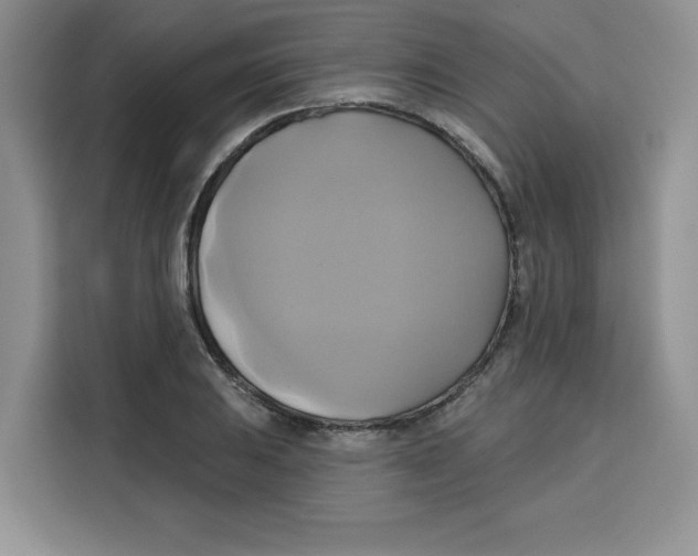 X0000115091031200911241209