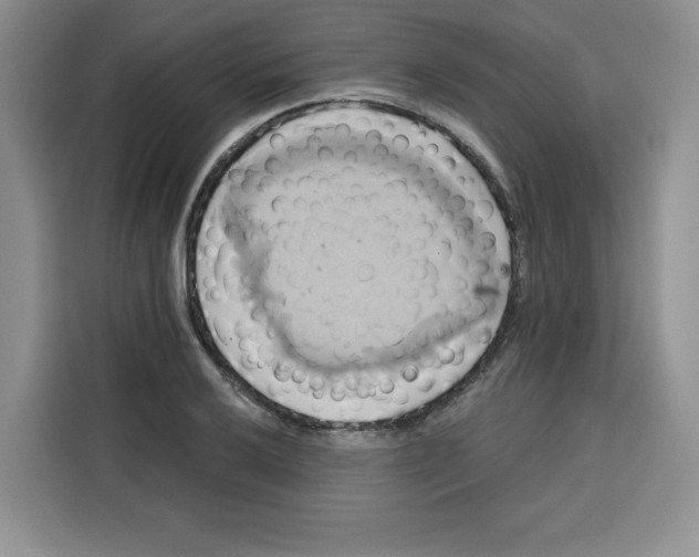 X0000115091032200911241209