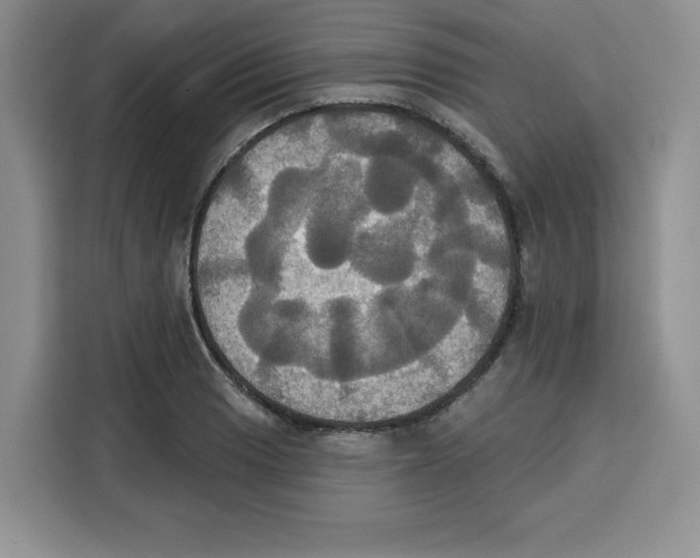 X0000115091033200911241209