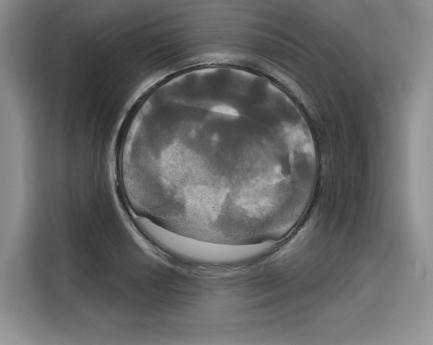 X0000115091034200911241209