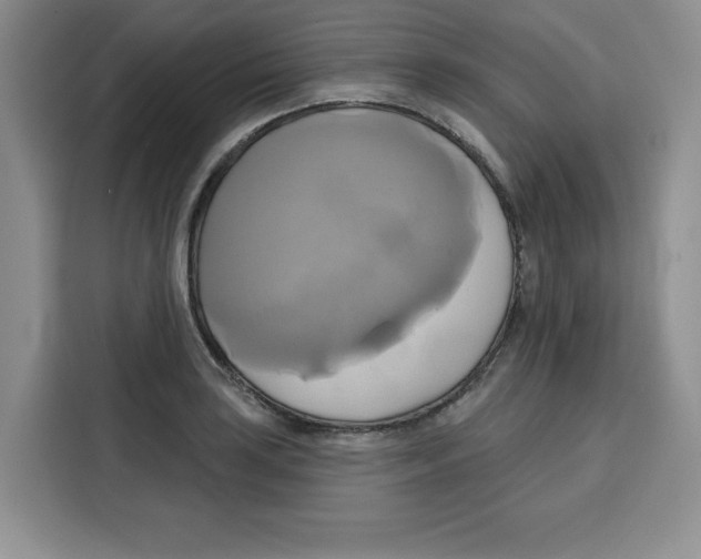 X0000115091035200911241209