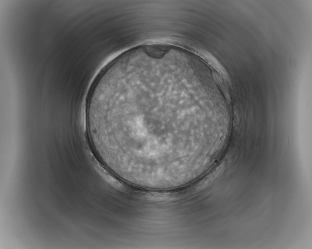 X0000115091036200911241209
