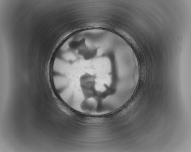 X0000115091039200911241209