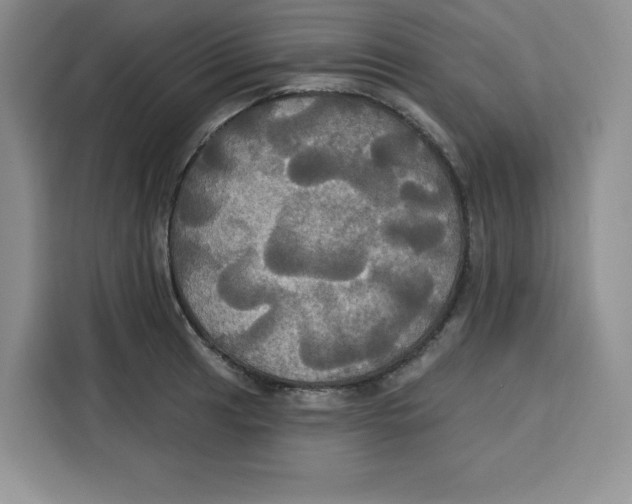 X0000115091041200911241209
