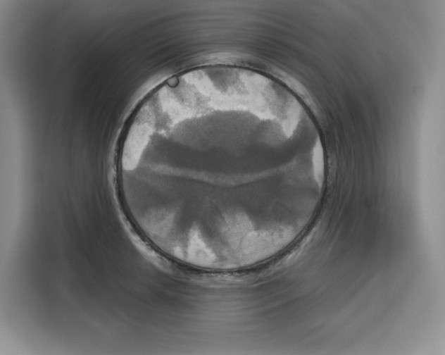 X0000115091042200911241209