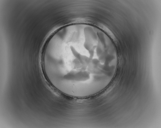 X0000115091043200911241209