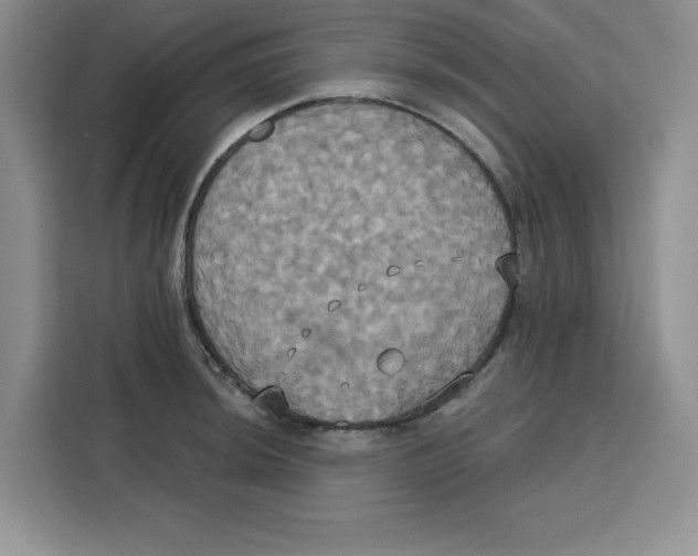 X0000115091044200911241209