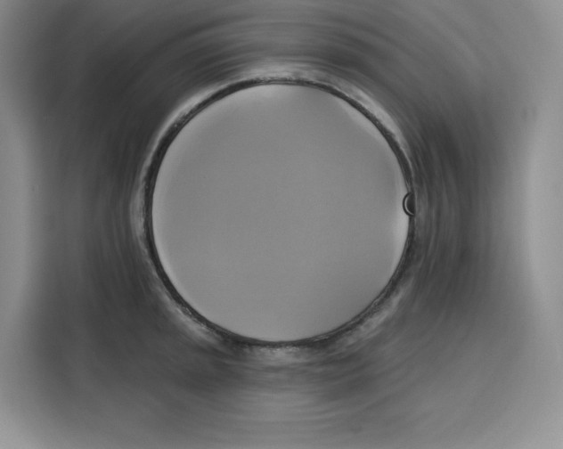 X0000115091045200911241209