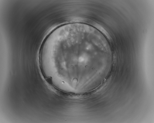 X0000115091047200911241209