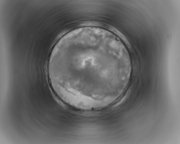 X0000115091049200911241209