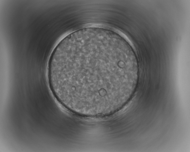 X0000115091050200911241209