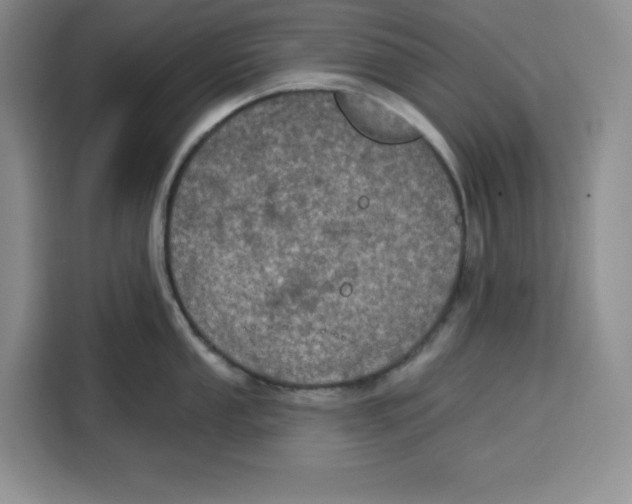 X0000115091053200911241209